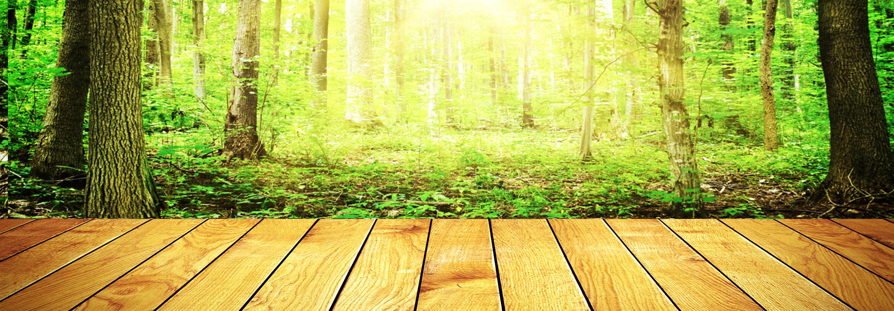 eco-responsabilite
